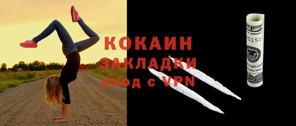 гидра Кулебаки