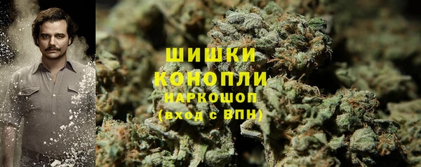 гидра Кулебаки