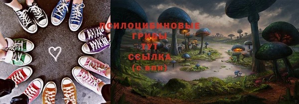 гидра Кулебаки