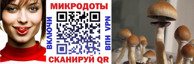 Галлюциногенные грибы мухоморы  Купить  Ковров 